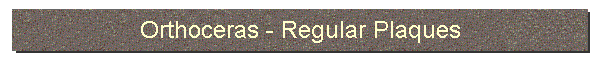 Orthoceras - Regular Plaques